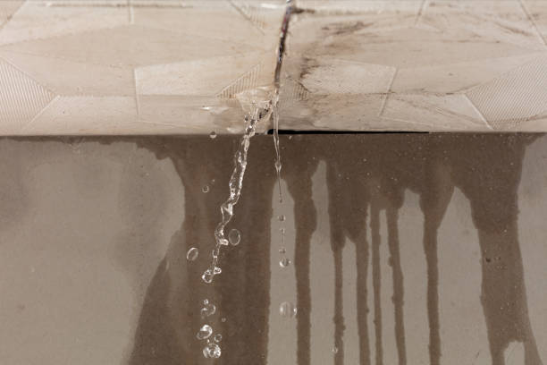 Professional Water Damage Repair technician working in Clallam Bay, WA